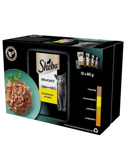 SHEBA Delicacy in Jelly krmivo pro kočky s drůbeží příchutí v omáčce 12x85g