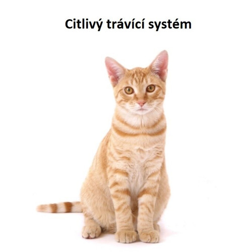 Citlivý trávící systém