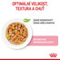 ROYAL CANIN Kitten Instinctive Jelly 85g x 12 kapsička pro koťata v želé