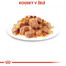 ROYAL CANIN Sterilised  85g x12 Jelly kapsička pro kastrované kočky v želé