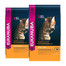 EUKANUBA Cat Adult All Breeds Top Condition Chicken & Liver 2 x 10 kg