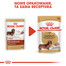 ROYAL CANIN Paštika pro dospělé psy jezevčíků