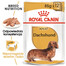 ROYAL CANIN Paštika pro dospělé psy jezevčíků