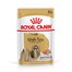 ROYAL CANIN Shih Tzu Adult Loaf mokré krmivo pro dospělé psy plemene shih tzu