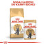ROYAL CANIN British Shorthair vlhké krmivo v omáčce pro dospělé britské krátkosrsté kočky