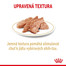 ROYAL CANIN Shih Tzu Adult Loaf mokré krmivo pro dospělé psy plemene shih tzu