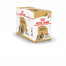 ROYAL CANIN Shih Tzu Adult Loaf mokré krmivo pro dospělé psy plemene shih tzu