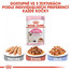ROYAL CANIN Kitten Instinctive v omáčce