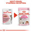 ROYAL CANIN Kitten Instinctive v omáčce