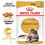 ROYAL CANIN Maine Coon Adult vlhké krmivo v omáčce pro dospělé mainské mývalí kočky