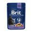 BRIT Premium Cat Adult kapsičky v omáčce pro kočky 24 x 100 g