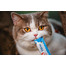 INABA Churu Cat Chicken and Crab 4x14g