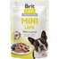 BRIT Care Mini - 24 x 85 g