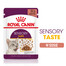 ROYAL CANIN Sensory Taste Gravy 24x85 g šťáva pro dospělé kočky