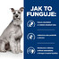 HILL'S Prescription Diet Digestive Care i/d Canine Nízkotučné kuře 12 kg