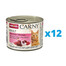 ANIMONDA Carny Adult krmivo pro kočky 12 x 200 g v plechovce