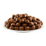 APPLAWS Adult Dog L Chicken 7,5kg