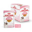ROYAL CANIN Kitten Instinctive Jelly 85g x 12 kapsička pro koťata v želé