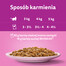 WHISKAS Adult kapsička 28x85g mokré krmivo pro dospělé kočky v omáčce s lososem