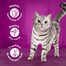 WHISKAS Adult kapsička 28x85g mokré krmivo pro dospělé kočky v omáčce s lososem