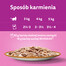 WHISKAS Adult 85g mokré krmivo pro dospělé kočky v omáčce z jehněčího a krůtího masa