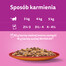 WHISKAS Adult kapsička 28x85g Mokré krmivo pro dospělé kočky v želé s hovězím a drůbežím masem