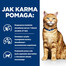 HILL'S Prescription Diet c/d Multicare s kuřecím masem 3kg