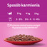 WHISKAS Adult 85g mokré krmivo pro dospělé kočky v hovězí omáčce