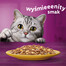WHISKAS Adult 85g mokré krmivo pro dospělé kočky v želé s kuřecím masem