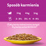 WHISKAS Adult 85 g Mokré krmivo pro dospělé kočky v omáčce s: kuřecím masem, krůtou