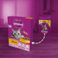 WHISKAS Adult 300 g Kompletní suché krmivo s lahodným kuřecím masem pro dospělé kočky