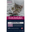EUKANUBA Grain Free Kitten Losos 2 kg pro rostoucí koťata