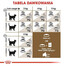 Royal Canin Ageing 12+ Sterilised 0,4 kg - granule pro starší sterilizované kočky starší 12 let 0,4 kg