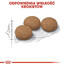 Royal Canin Ageing 12+ Sterilised 0,4 kg - granule pro starší sterilizované kočky starší 12 let 0,4 kg