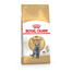 Royal Canin Adult British Shorthair 2 kg - granule pro dospělé krátkosrsté kočky
