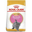 Royal Canin British Shorthair Kitten 0,4 kg - granule pro britská krátkosrstá koťata 0,4 kg