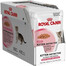 Royal Canin Kittem Instinctive 12 x 85 g- mokré krmivo pro koťata, v omáčce 12x85g