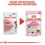 Royal Canin Kittem Instinctive 12 x 85 g- mokré krmivo pro koťata, v omáčce 12x85g
