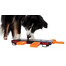 TRIXIE Hračka pro psa Dog Activity "Move2Win"