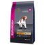 Eukanuba Dog Dry Base Adult Small & Medium Breeds Lamb & Rice 12 kg granule pro psy