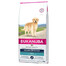 Eukanuba Dog Dry Breed Specific All Golden Retriever Chicken 12 kg granule pro psy s kuřecím masem