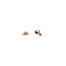 Josera Dog Lachs&Kartoffel Grainfree granule pro psy 900 g