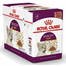 ROYAL CANIN Sensory Taste vlhké krmivo pro kočky stimulující chuťové vjemy 12x 85 g