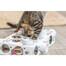 TRIXIE Cat Activity Paws'n'Treats Box vzdělávací hračka pro kočku 35×7×20 cm karton