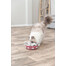 TRIXIE Cat Activity Hide'n'Sniff Bowl Vzdělávací hračka pro kočky 18 cm plastová