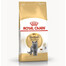 ROYAL CANIN British Shorthair krmivo pro dospělé britské krátkosrsté kočky 24x400 g