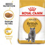 ROYAL CANIN British Shorthair krmivo pro dospělé Britské krátkosrsté kočky 6x400 g