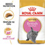 ROYAL CANIN British Shorthair Kitten 6x400 g krmivo pro koťata, do 12 měsíců, plemeno Britská krátkosrstá kočka