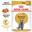 ROYAL CANIN British Shorthair vlhké krmivo v omáčce pro dospělé britské krátkosrsté kočky