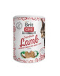 Brit Care Cat Snack Superfruits Lamb pamlsky pro dospělé kočky 100g